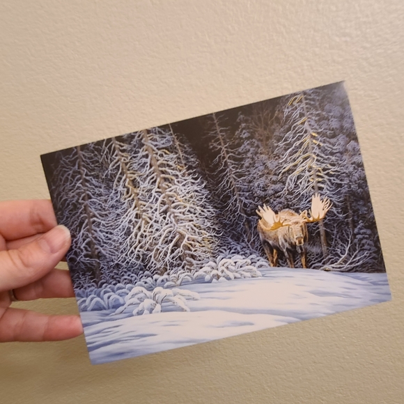 20 Moose Christmas Cards with box - Picture 2 of 11